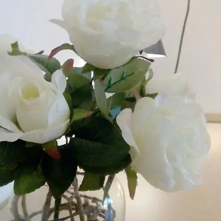 Bed & Breakfast Salviani