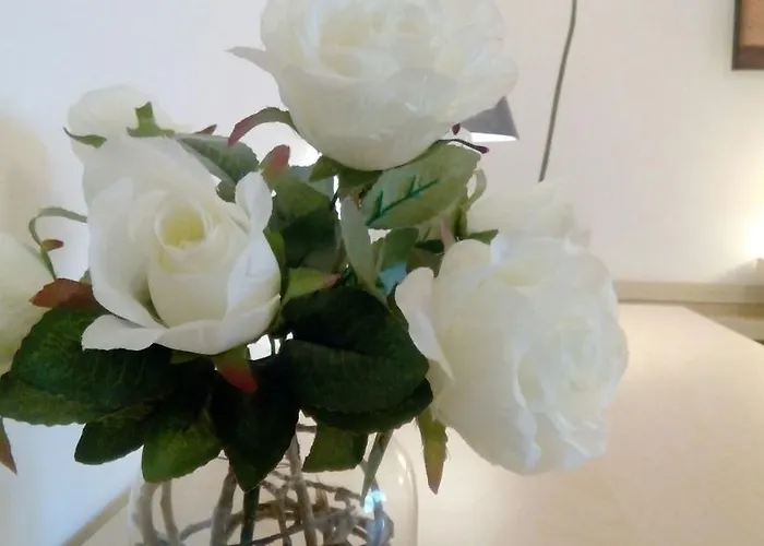 Bed and Breakfast Salviani